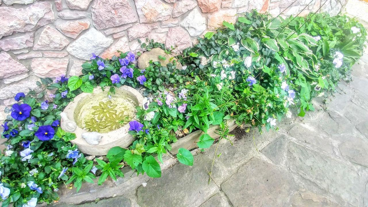 Pod Klimczokiem I Bed & Breakfast Szczyrk Exterior foto